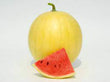Plants - Melon d'eau avec pépins Faerie