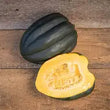 Plants - Courge Poivrée Automn Delight