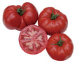 Plants - Tomate rouge Rubee Goddess