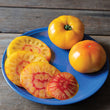 Plants - Tomate bicolore Harvest Moon