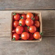 Plants - Tomate cerise Honey Bee