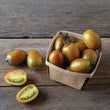Plants - Tomate Artisan Magic Bullet