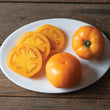 Plants - Tomate orange Marmalade Skies
