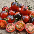Plants - Tomate cerise Indigo/rouge Midnight Snacks Hybrid
