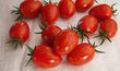 Plants - Tomate Red Torch