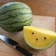 Plants - Melon d'eau jaunes avec pépins Sureness hybrid