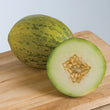 Plants - Melon Piel de Sapo