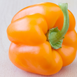 Plants - Poivron orange Bright Star